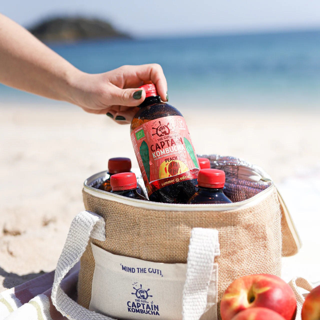 Kombucha Pesca — Cartone da 12 × 400 ml